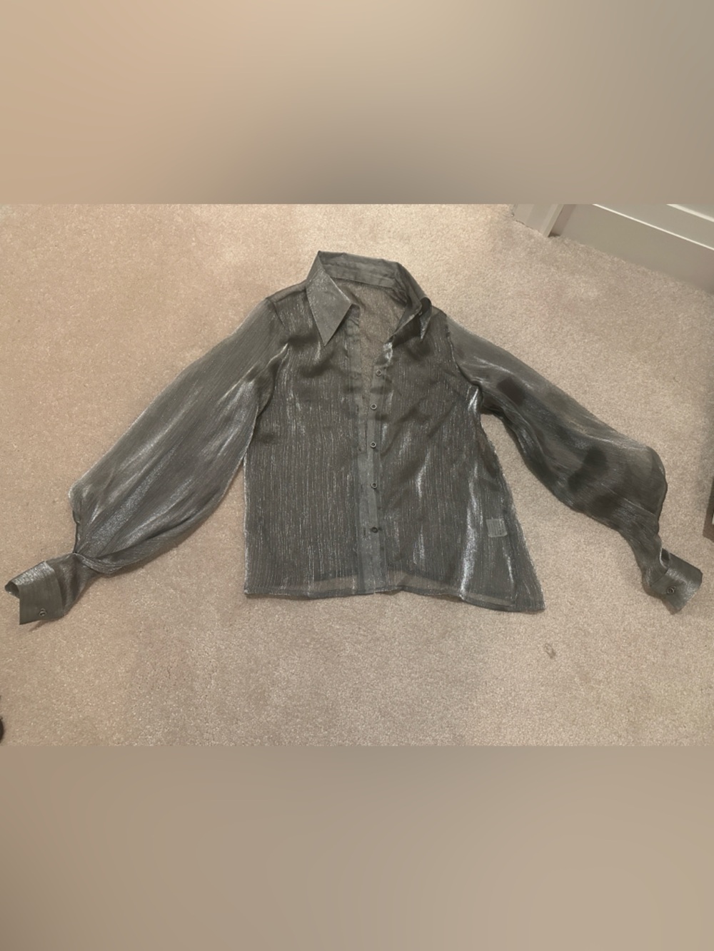 Sheer Metallic Button-Up Blouse - Shimmery silver